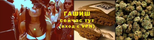 гидра Белокуриха