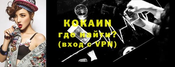 шишки Белоозёрский