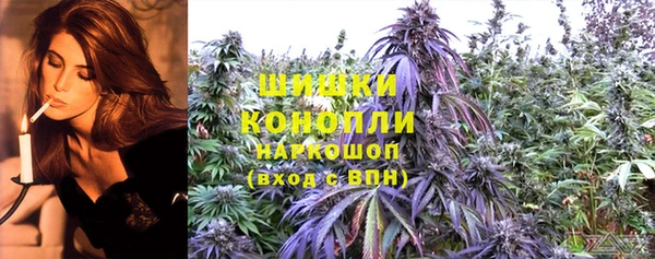 гидра Белокуриха