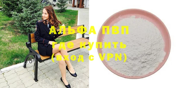 гидра Белокуриха