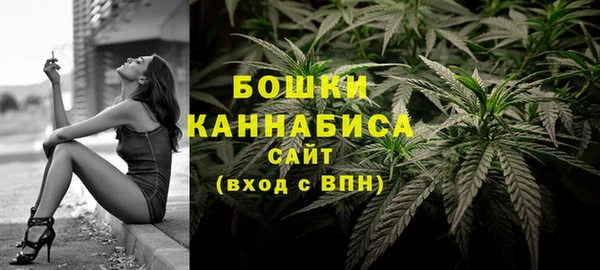 шишки Белоозёрский