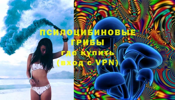 шишки Белоозёрский