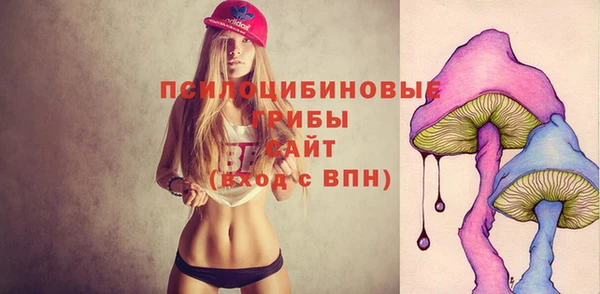 шишки Белоозёрский