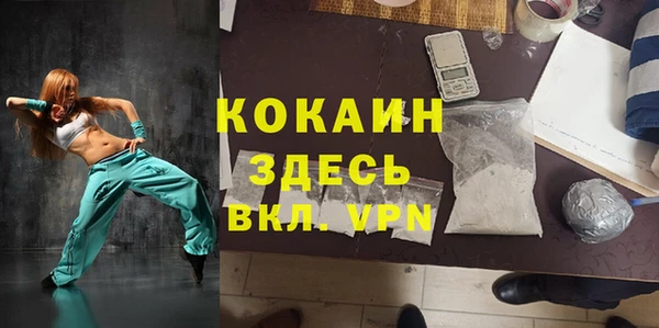 гидра Белокуриха
